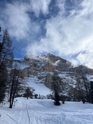 Skisafari Südtirol
