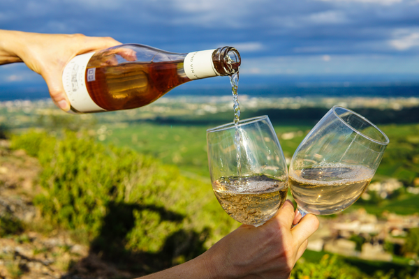 Weinwanderung Hohenstein